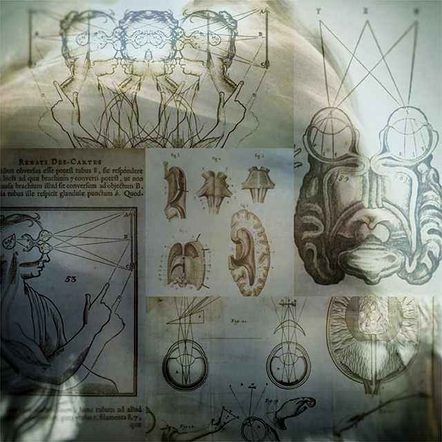 Collage of vintage ocular diagrams for medical training.