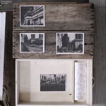 [PCMS 2025.6] Nic TVG - Shout Into the Dirt